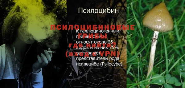 крисы Алзамай