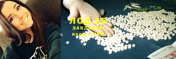 крисы Алзамай