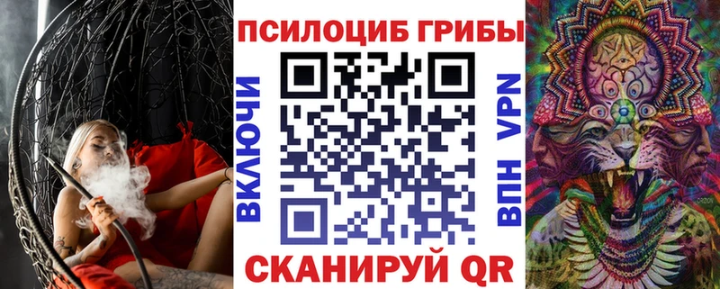 Галлюциногенные грибы прущие грибы  где купить наркотик  KRAKEN зеркало  Новомичуринск 